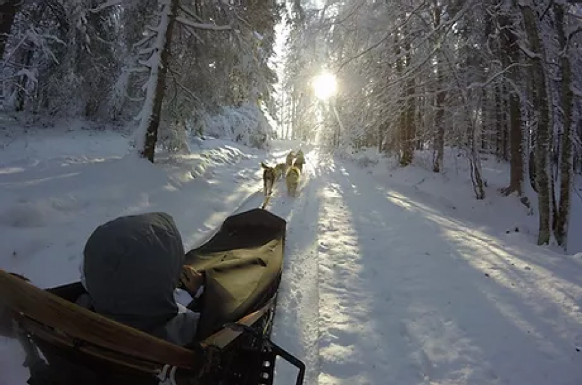 Les Attelages de la roche percée auf dem Mont d'Or